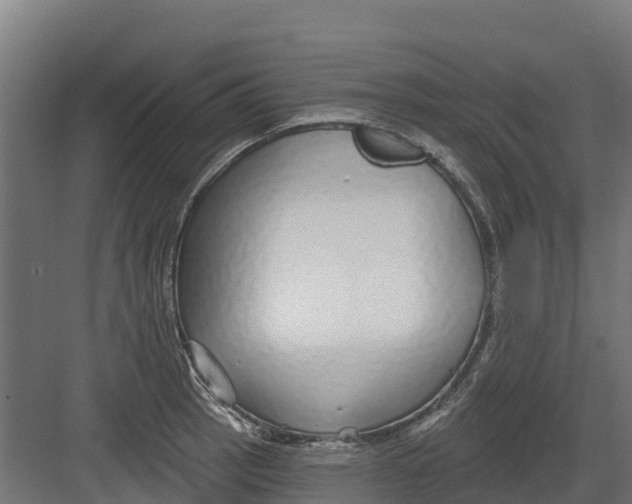 X0000082161137200702092211