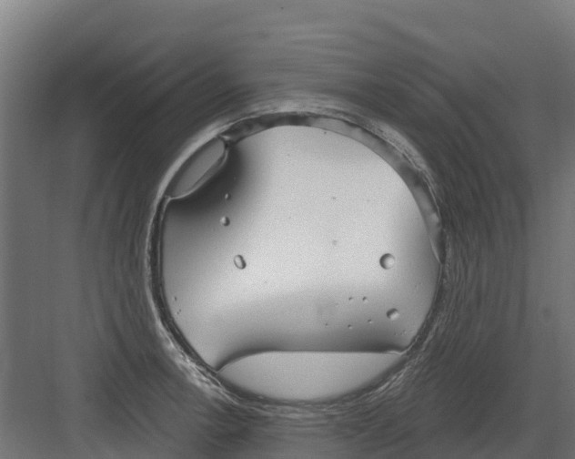 X0000082161138200702092211