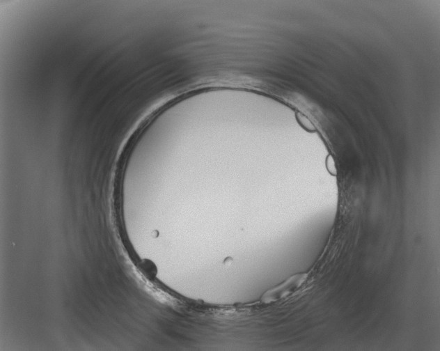 X0000082161139200702092211