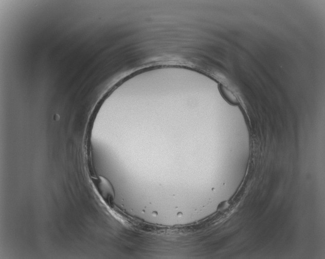 X0000082161141200702092211