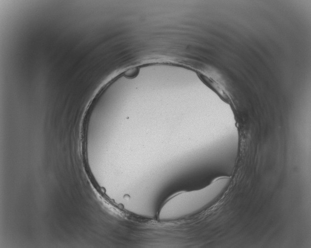 X0000082161143200702092211