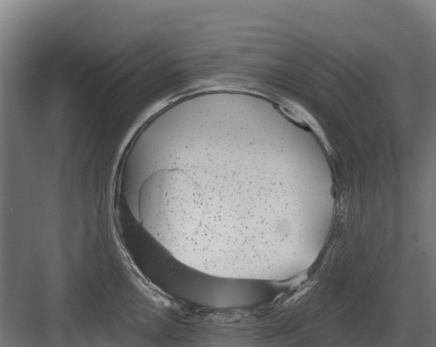 X0000082161146200702092211