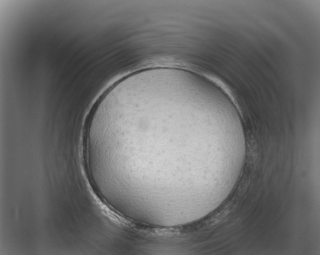 X0000082161147200702092211