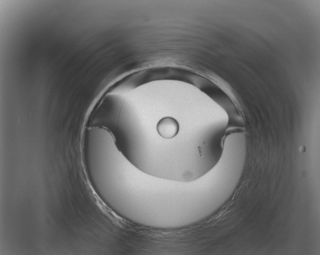 X0000082161148200702092211