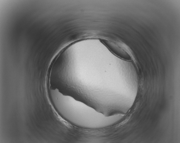 X0000082161149200702092211