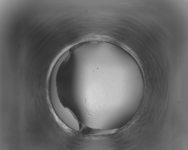 X0000082161152200702092211