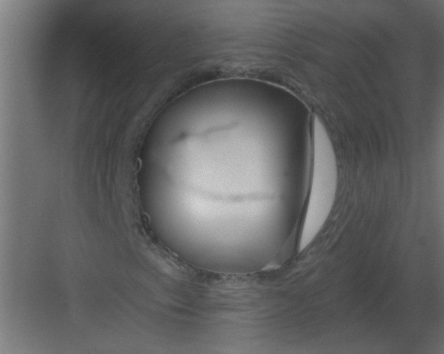 X0000082161153200702092210