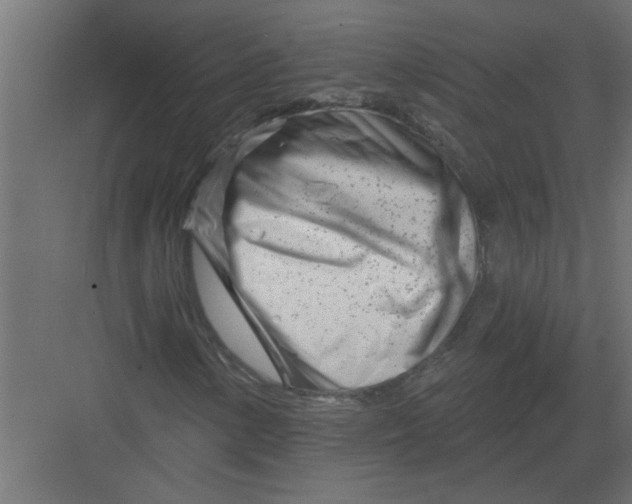 X0000082161154200702092210