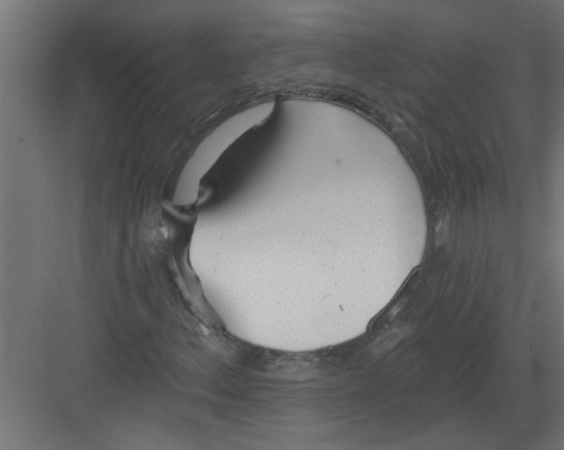 X0000082161156200702092210