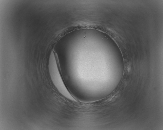 X0000082161157200702092210