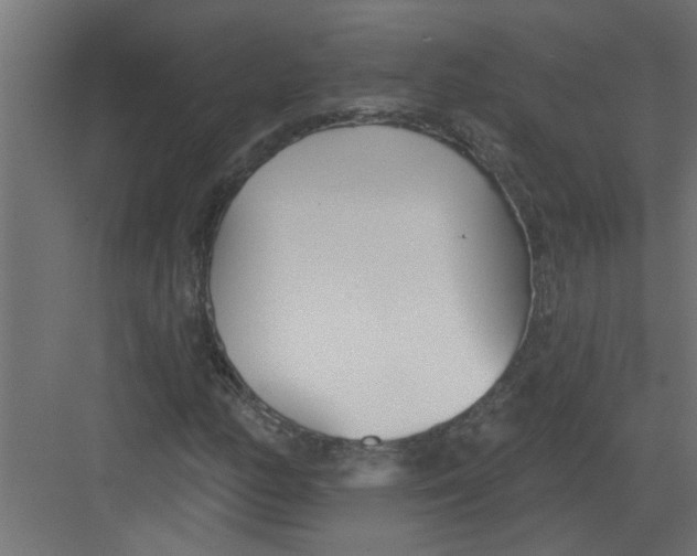 X0000082161158200702092210