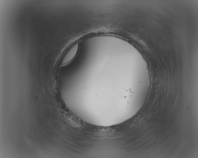 X0000082161160200702092210