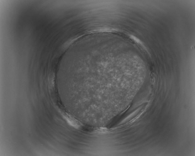 X0000082161161200702092210