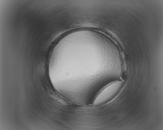 X0000082161163200702092210