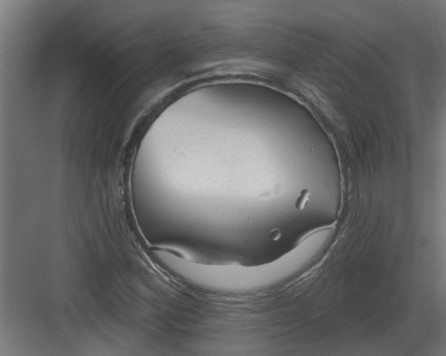 X0000082161164200702092210