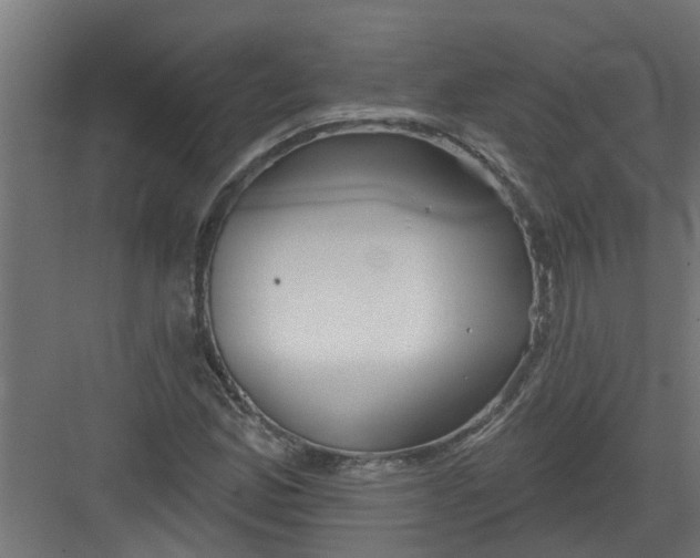 X0000082161165200702092210