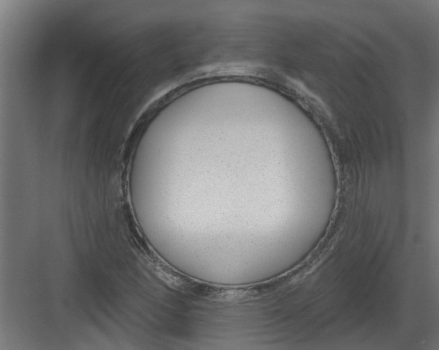 X0000082161166200702092210