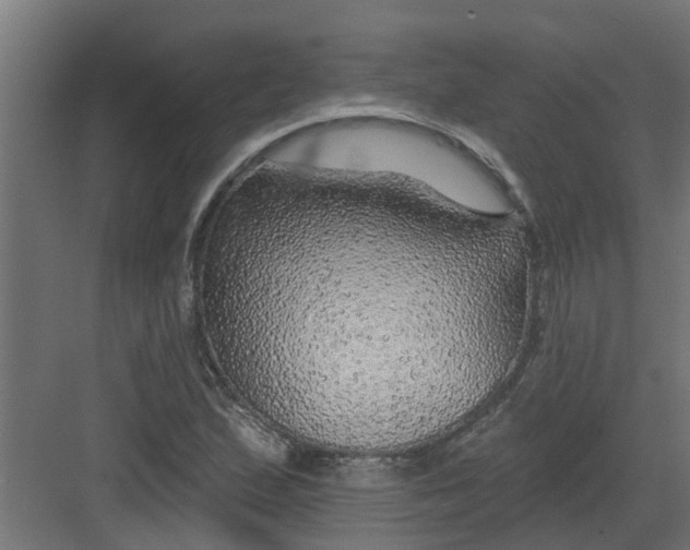 X0000082161167200702092210