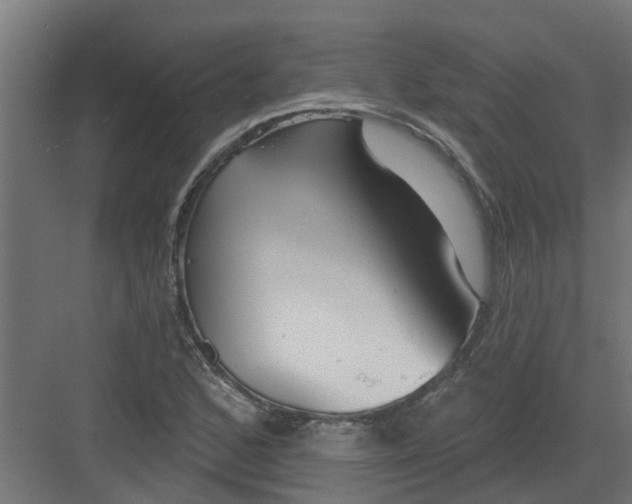 X0000082161168200702092210