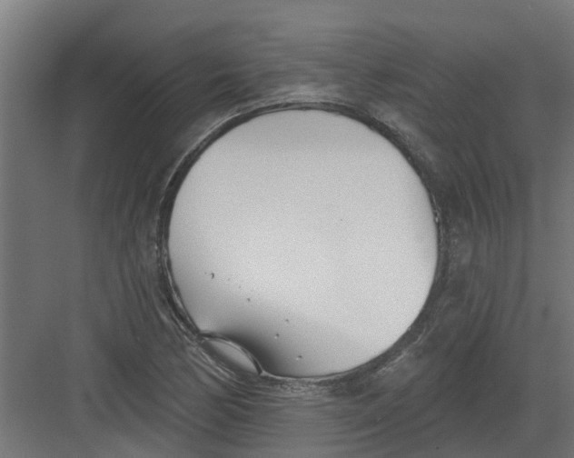 X0000082161170200702092210