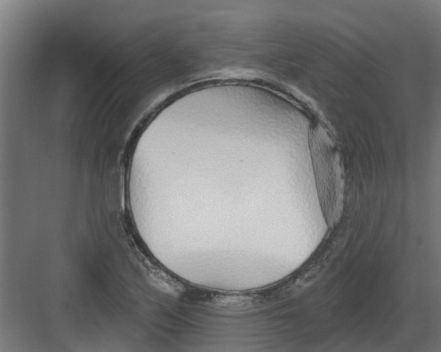 X0000082161171200702092210