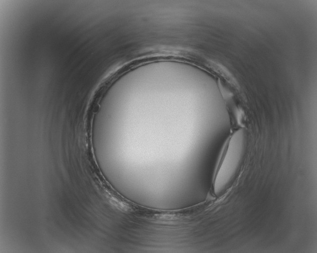 X0000082161172200702092210