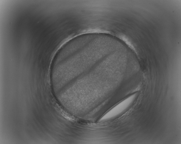 X0000082161173200702092210