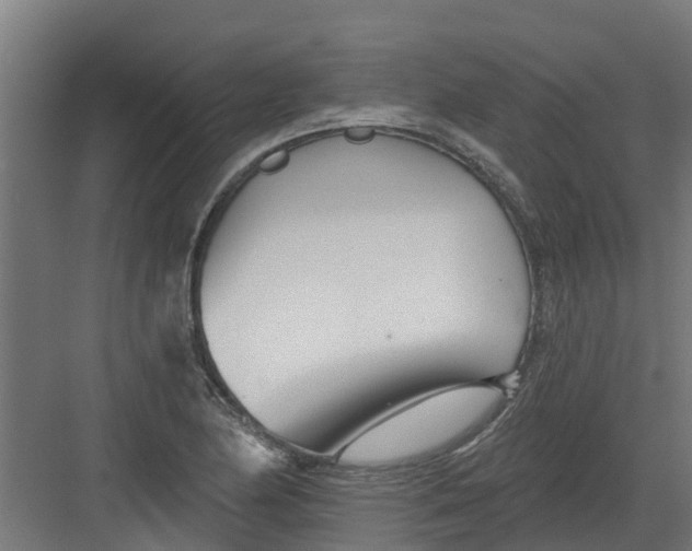 X0000082161174200702092210