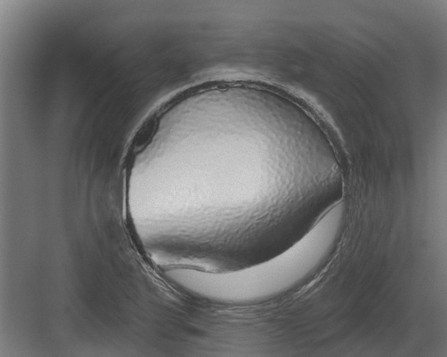 X0000082161175200702092210