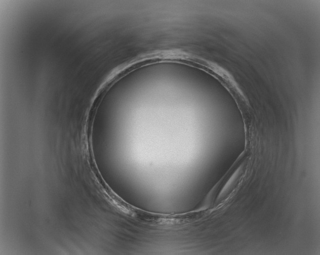 X0000082161176200702092210