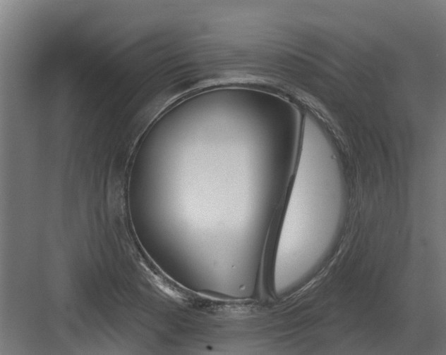 X0000082161177200702092210