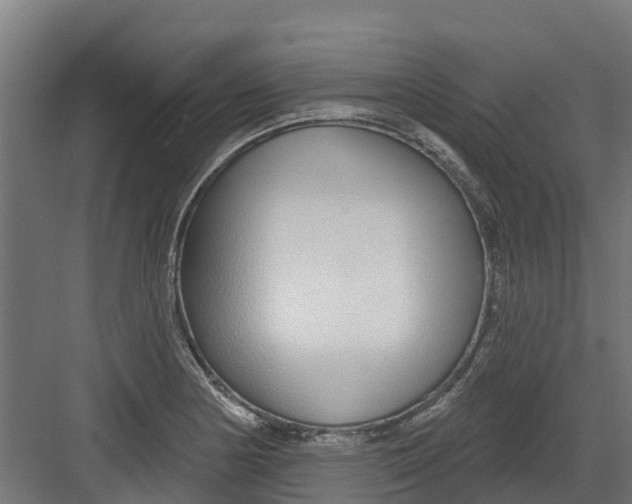 X0000082161178200702092210