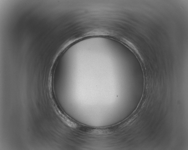 X0000082161179200702092210