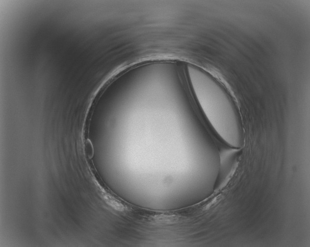 X0000082161181200702092210