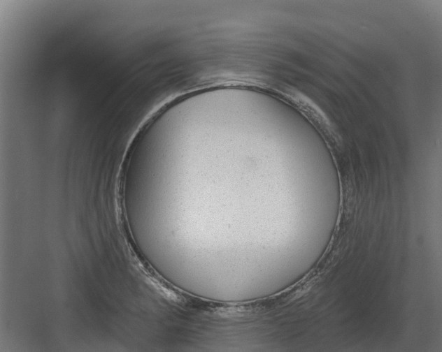 X0000082161182200702092210