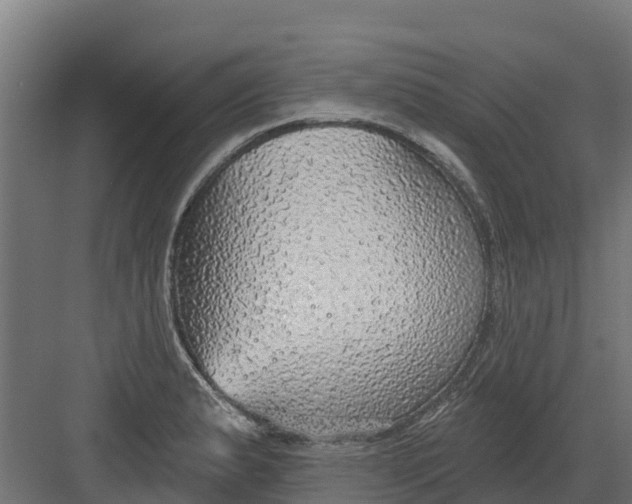 X0000082161183200702092210