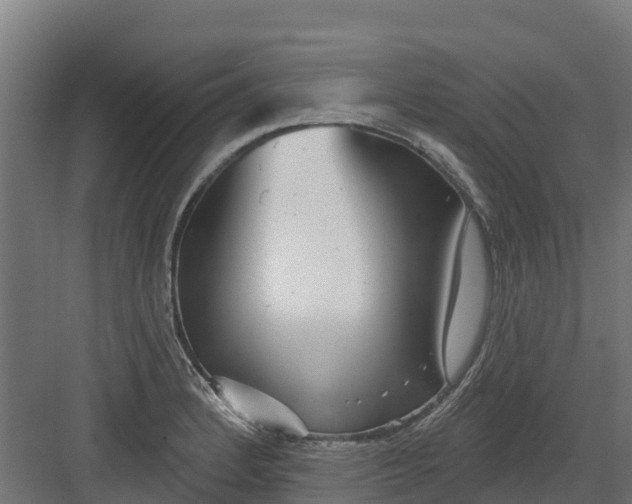 X0000082161184200702092210