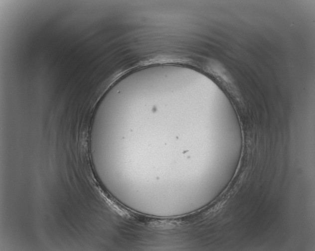 X0000082161185200702092210