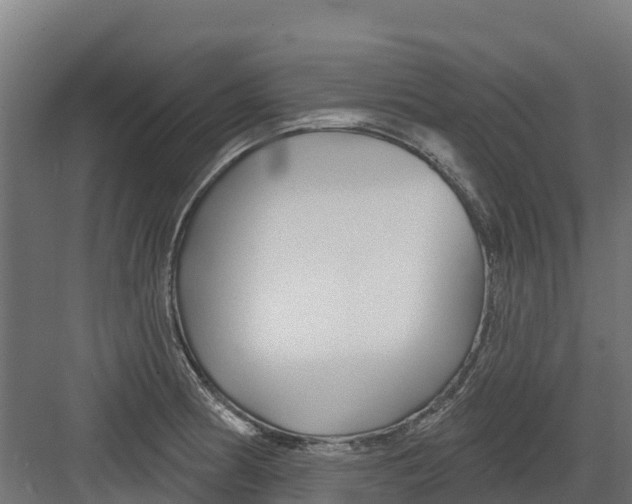 X0000082161186200702092210