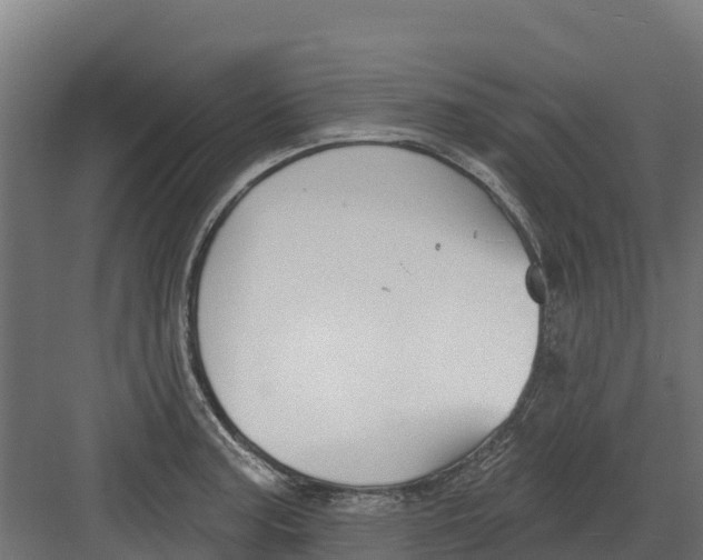 X0000082161187200702092210