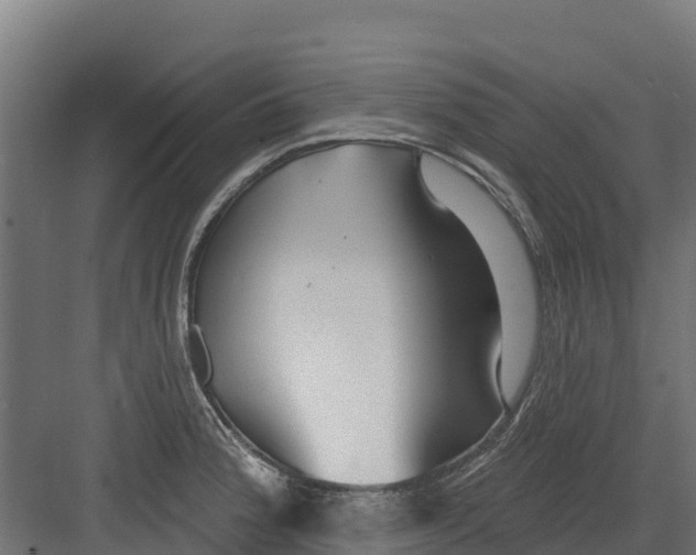 X0000082161188200702092210