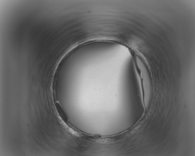 X0000082161189200702092210