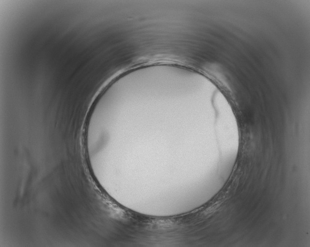 X0000082161190200702092210