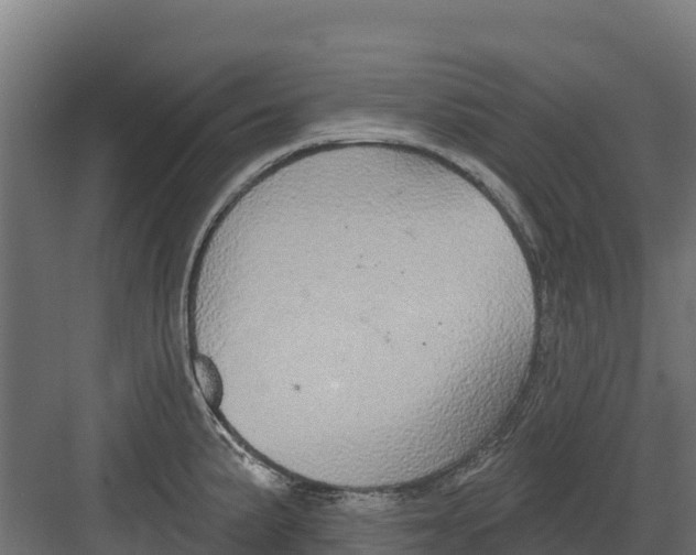 X0000082161191200702092210