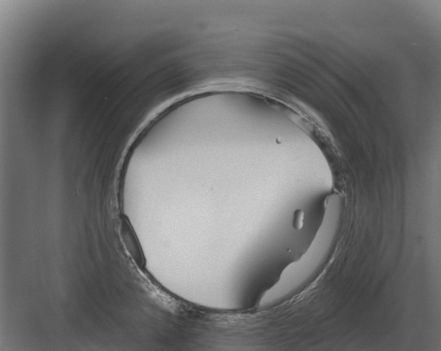 X0000082161192200702092210