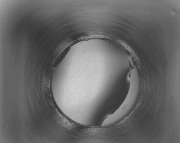 X0000082161193200702092210