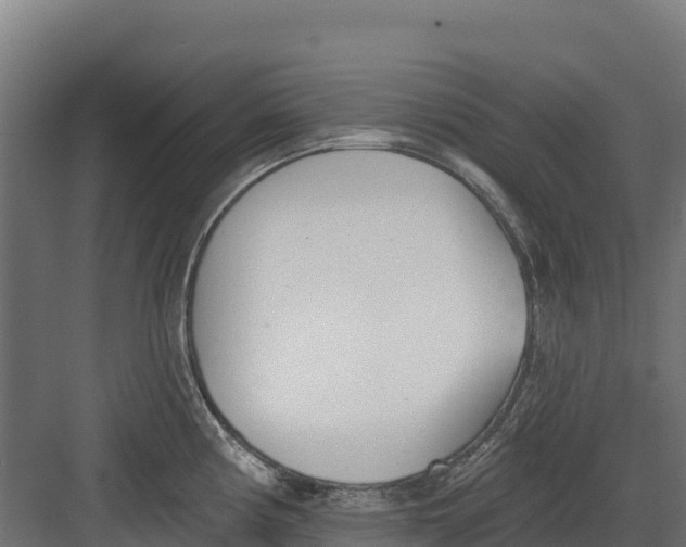 X0000082161194200702092210