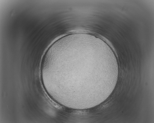 X0000082161195200702092209