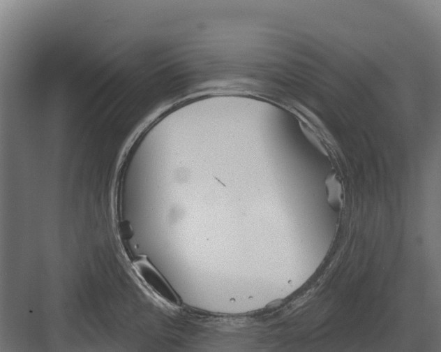 X0000082161196200702092209