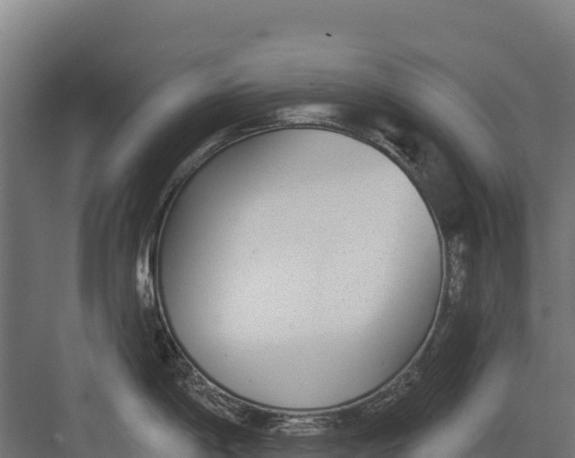 X0000082161198200702092209